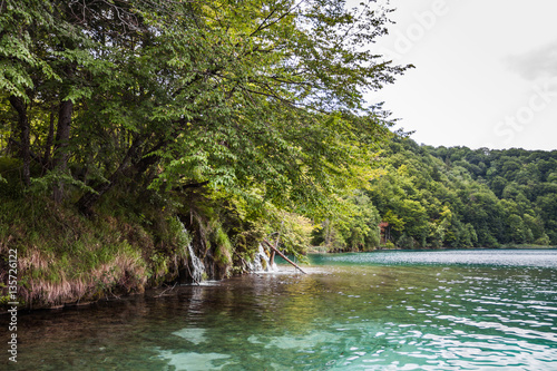 Streams flowing into the forest lake. Plitvice, National Park, C
