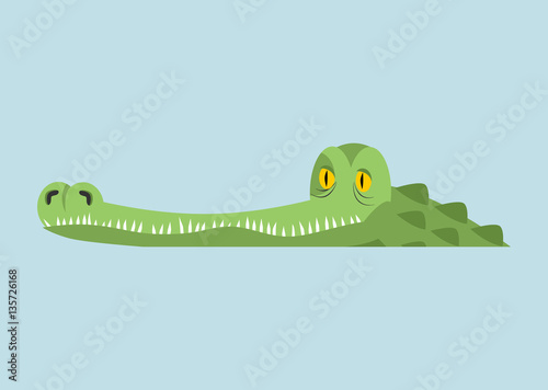 Crocodile in water. Alligator in river. Water reptile predator