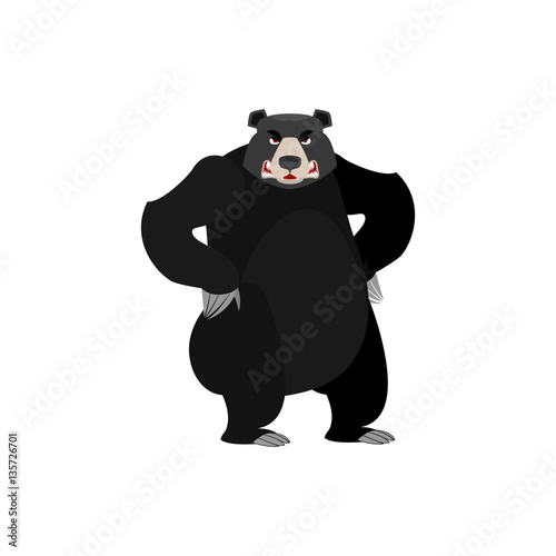 Baribal angry Emoji. American Black Bear evil emotion isolated
