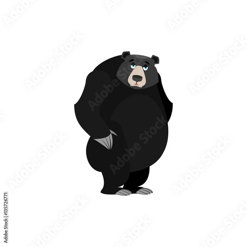 Baribal sad Emoji. American Black Bear wailful emotion isolated © popaukropa