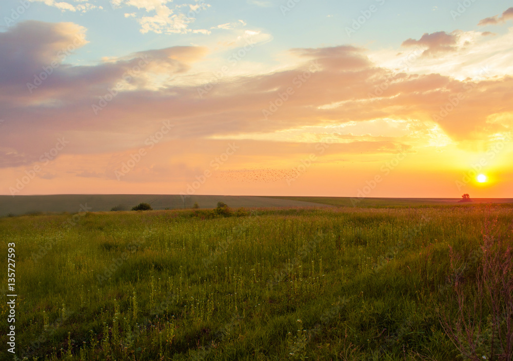 Nature at sunset