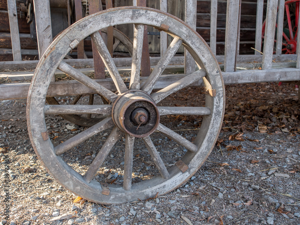 Wooden wheel