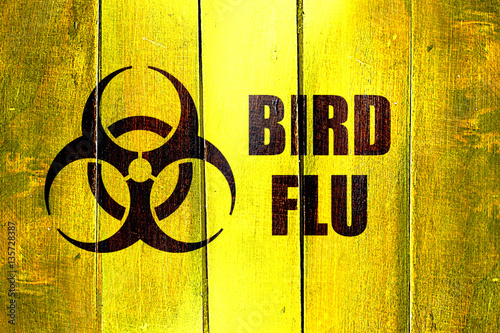 Vintage Bird flu on a grunge wooden panel