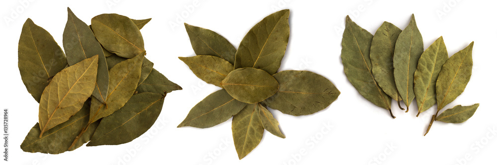 Bay laurel leaves on white