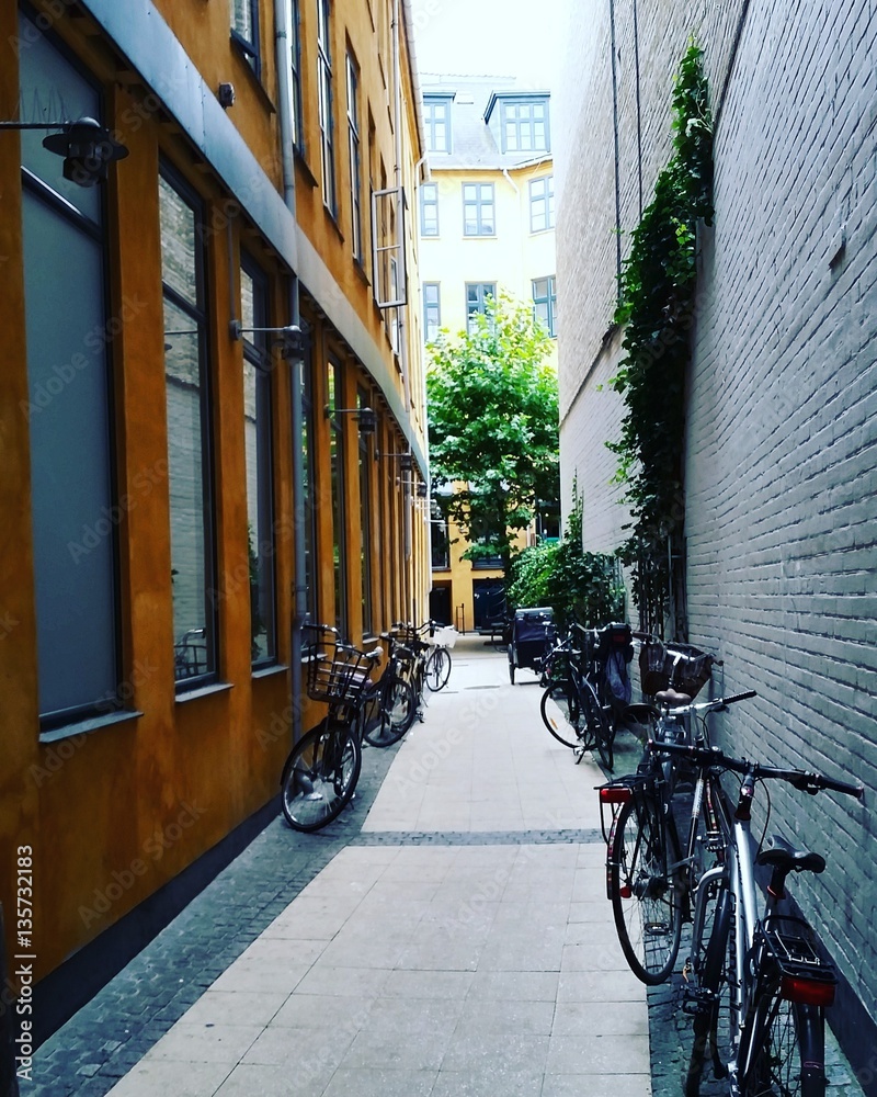Hidden Back Alley - Copenhagen, Denmark Hidden Back Alley - Copenhagen, Denmark