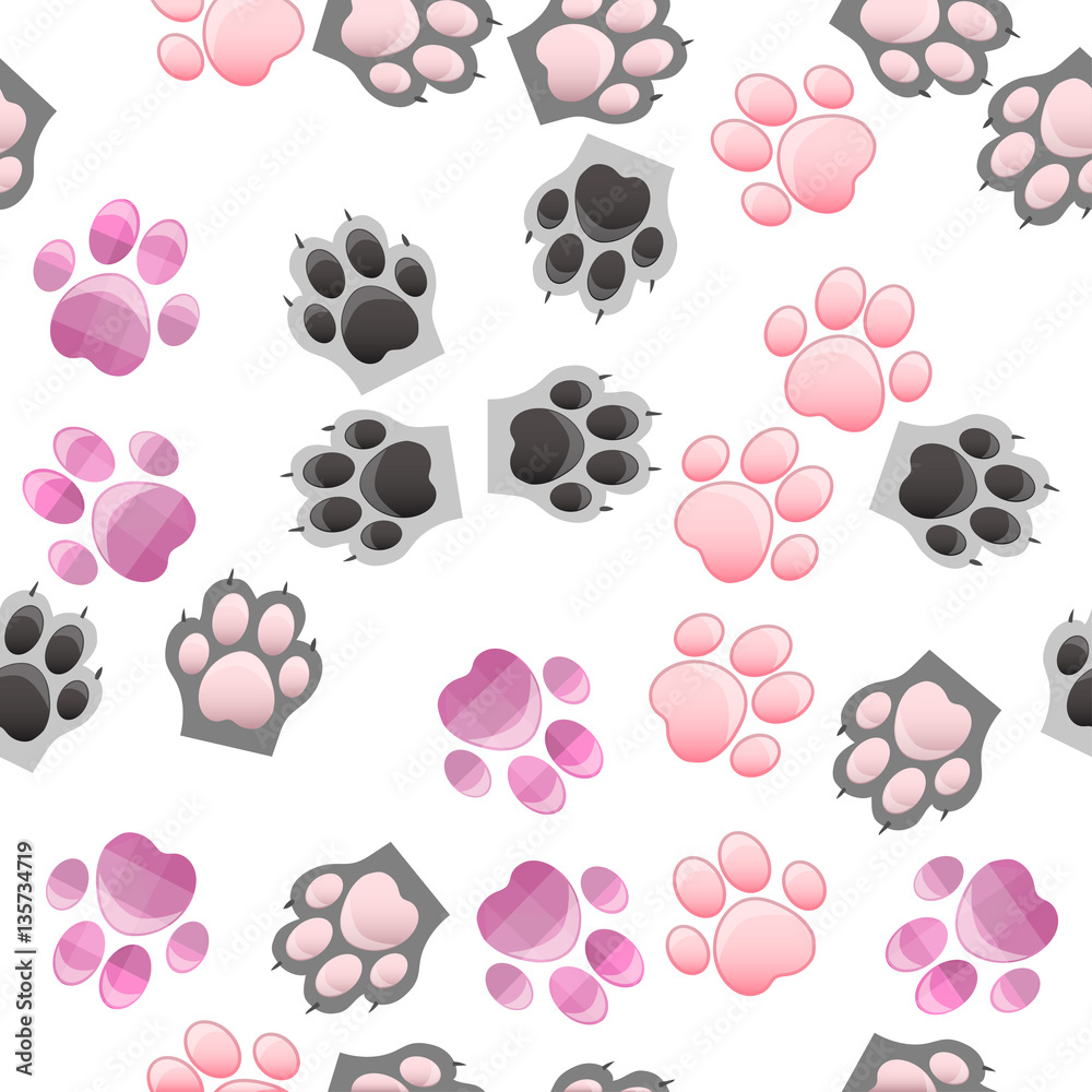 Fototapeta premium cat and dog paw print with claws