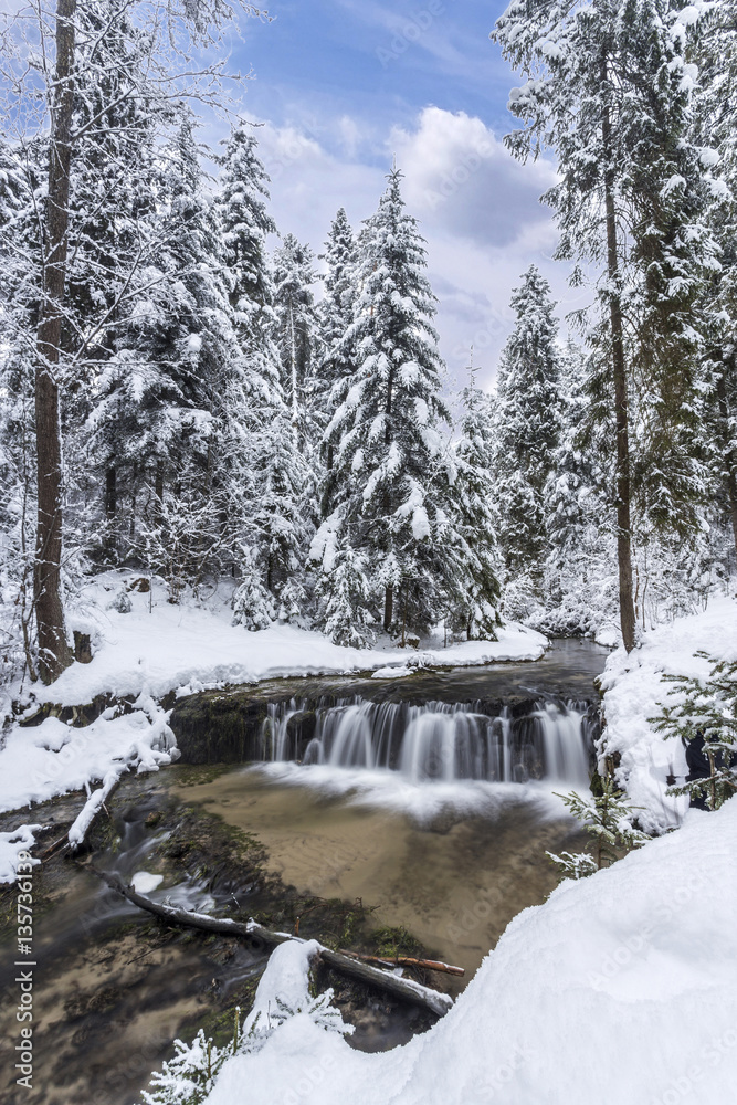 Obraz premium Poland - Roztocze, winter - the waterfall Deer on the river Tane