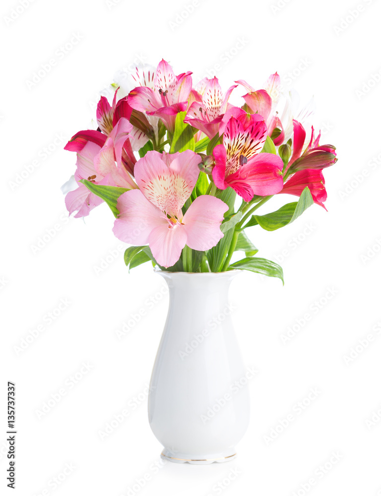 Bouquet of Alstroemeria flowers in white porcelain vase isolated on white background. Bouquet of Alstroemeria flowers in white porcelain vase isolated on white background.