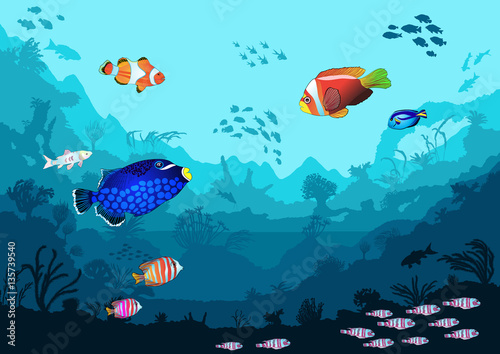 Sea underwater world with bright fish and animals