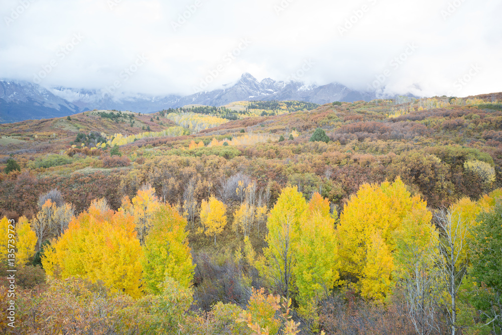 autumn colorado mountain