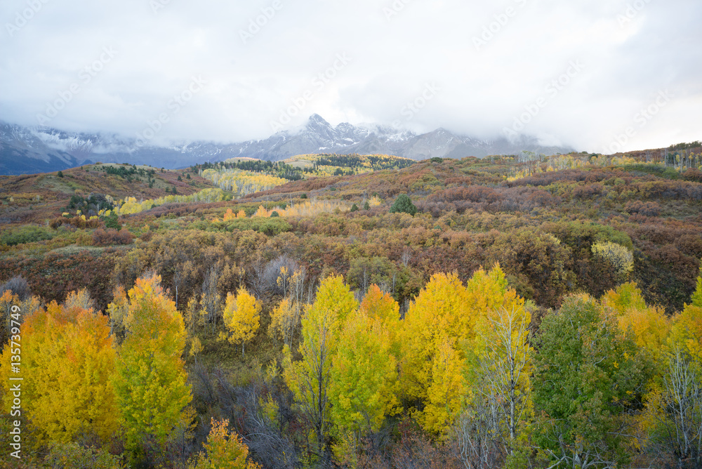 autumn colorado mountain