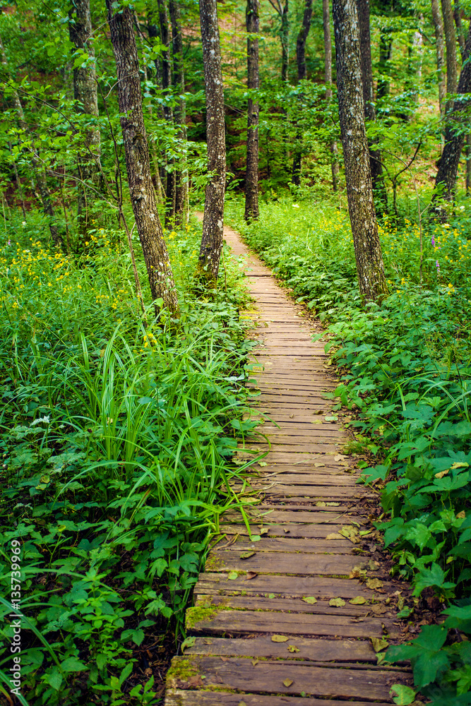 Obraz premium Wooden Walkway in Plitvice Lakes National Park, Croatia