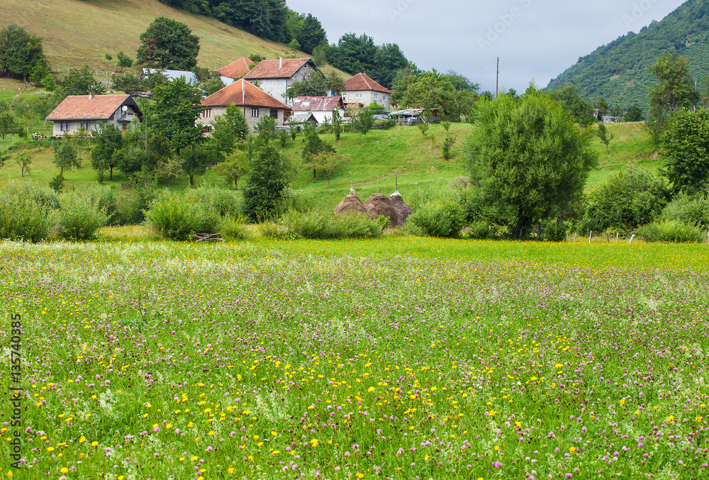 Serene view of village near Plav town in Montenegro