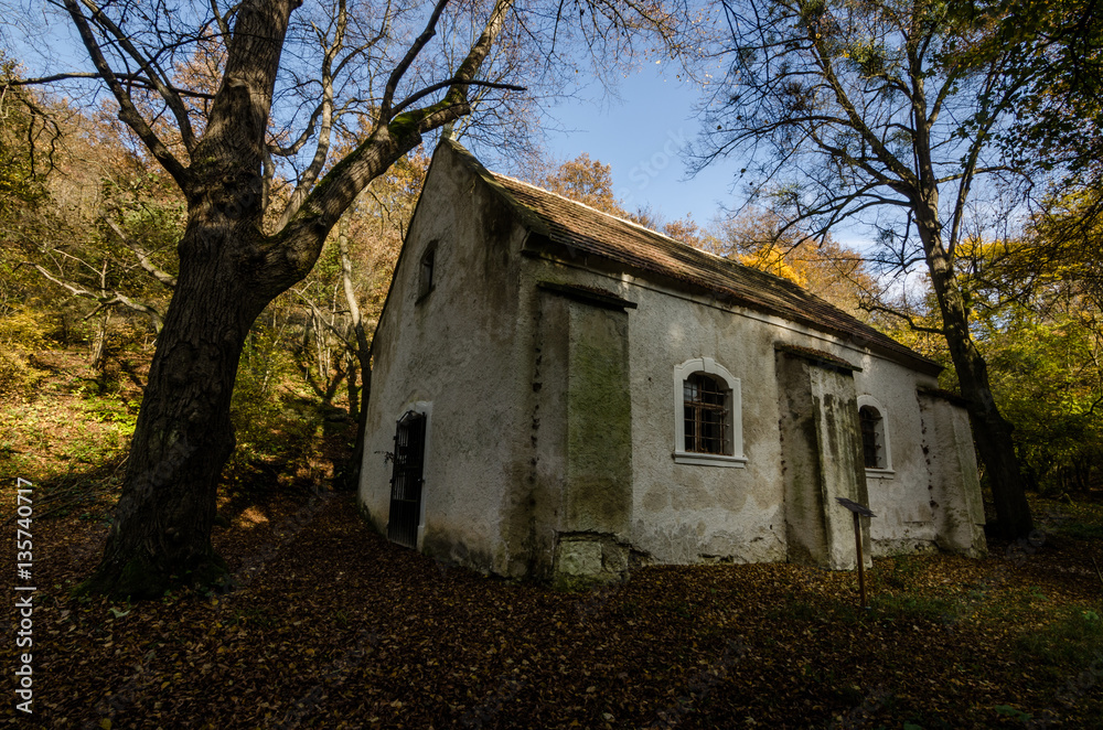 alte kirche im wald alte kirche im wald