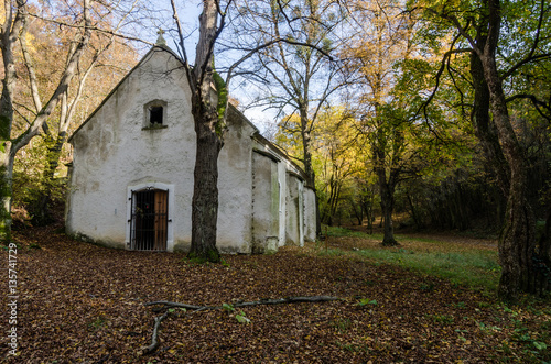 alte verlassene kirche im wald
