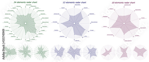 Set of Infographic pattern. 10, 12, 24 elements radar chart. Character personality business traits inscriptions for example. Different empty chart with no labels. Vector illustration.