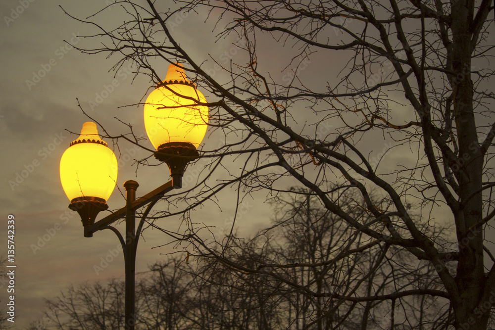 bright yellow lights in night park StockFoto Adobe Stock