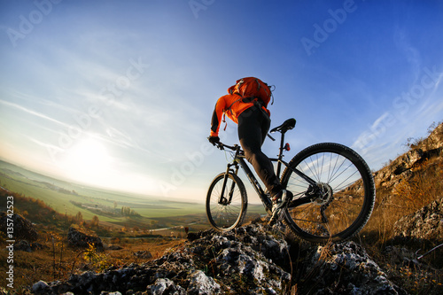 back view of a man with bicycle against the sky