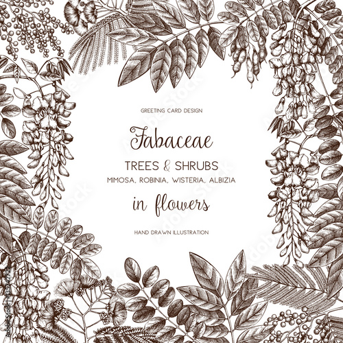 Vintage trees and shrubs in flowers illustration. Valentine's Day or Wedding design template on chalkboard. Vector greeting card with hand drawn wisteria, black locust, silver wattle, albizia sketch