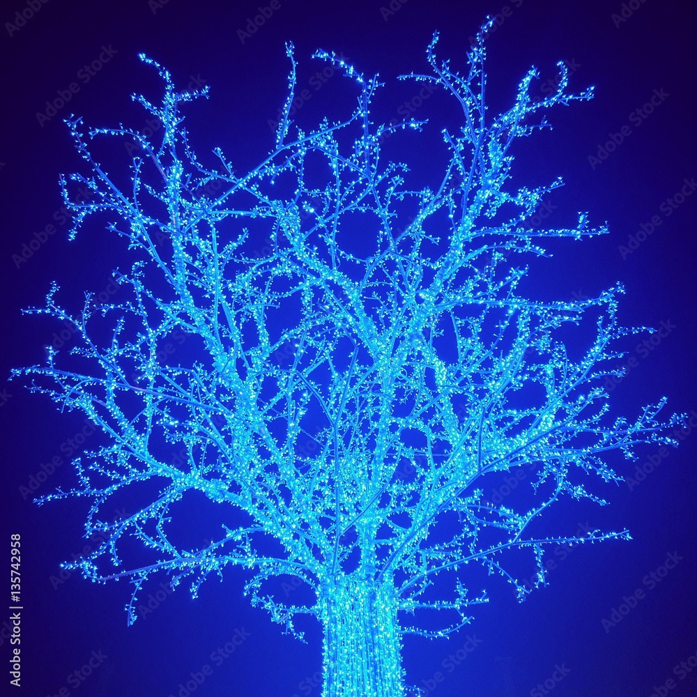 Blue tree