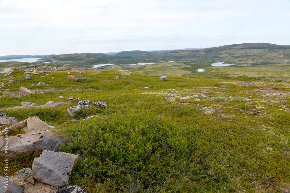 The tundra in the north of the Kola Peninsula