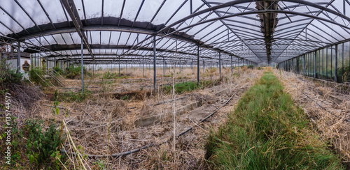 altes gewaechshaus panorama