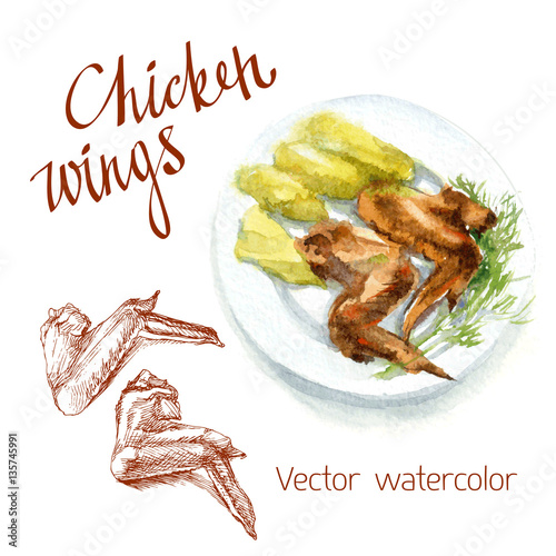 watercolor food sketch