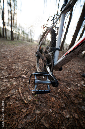 Bicycle pedal and wheel closeup in a forest © ellemarien7