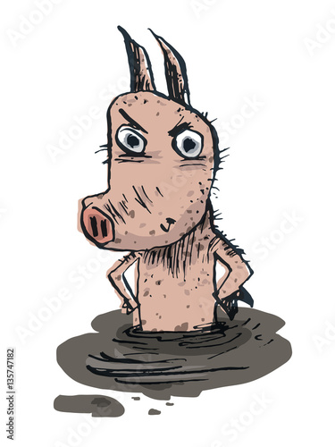 Pig in a puddle