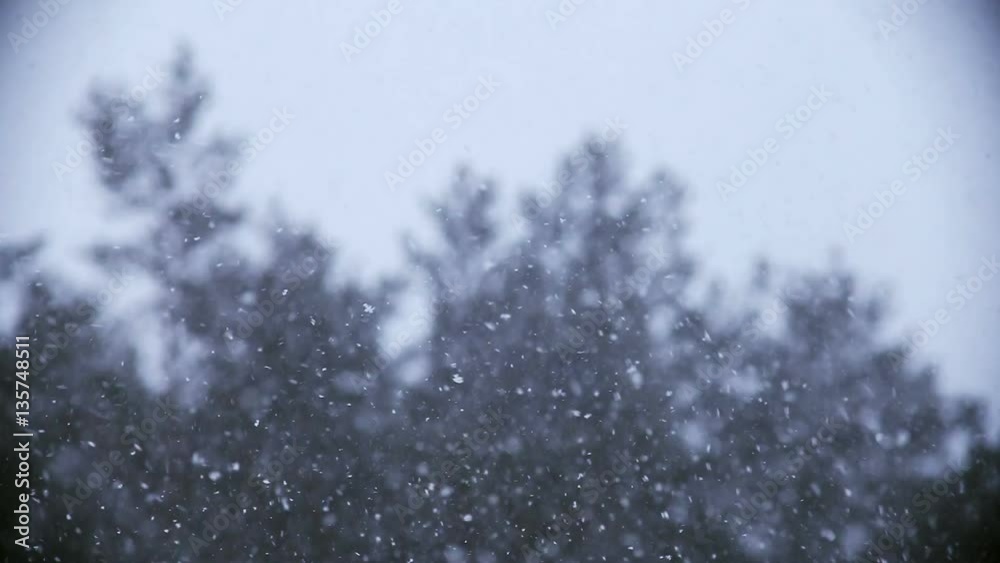 Background of snow fall blowing fast in winter blizzard.
