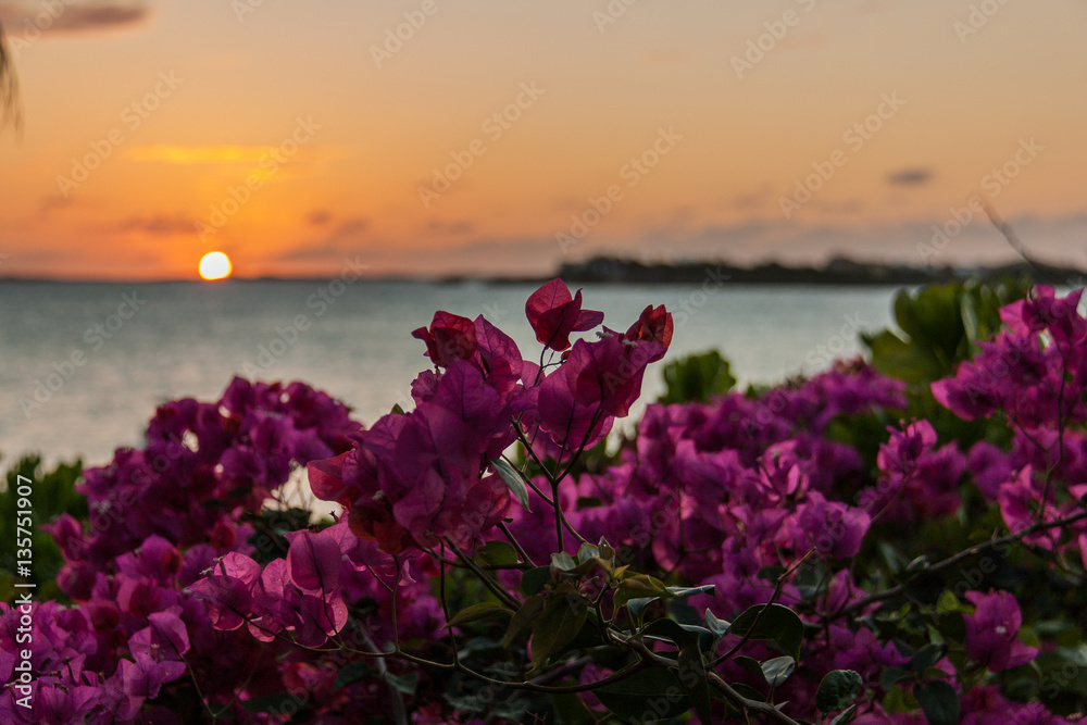 Sunset over Taylor Bay, Turks and Caicos Sunset over Taylor Bay, Turks and Caicos