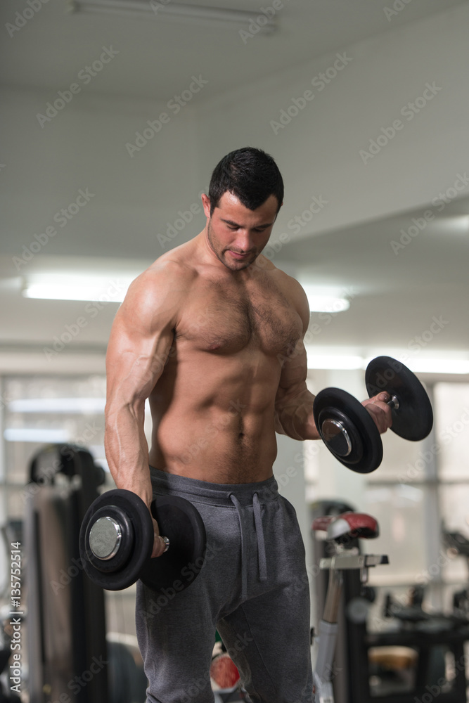 Biceps Exercise With Dumbbell in a Fitness Center