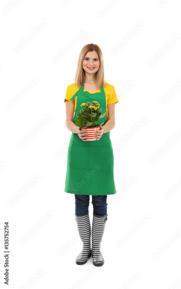 Beautiful woman florist holding house plant isolated on white background Beautiful woman florist holding house plant isolated on white background