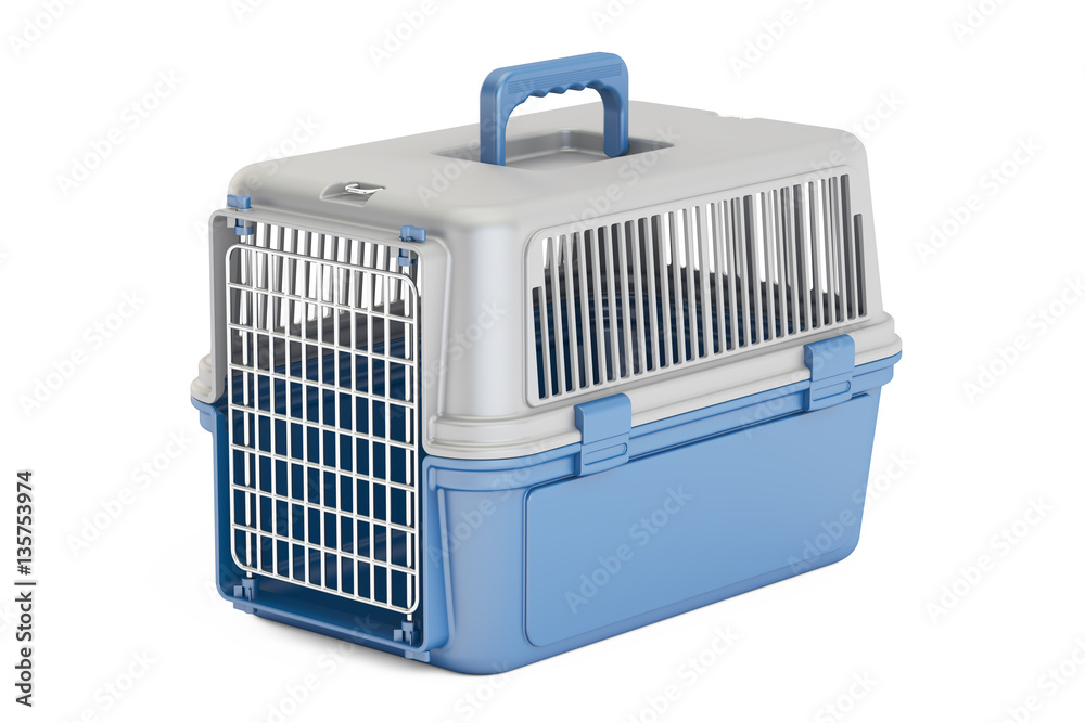 blue plastic pet carrier, 3D rendering blue plastic pet carrier, 3D rendering