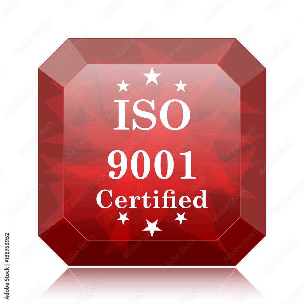Fototapeta premium ISO9001 icon
