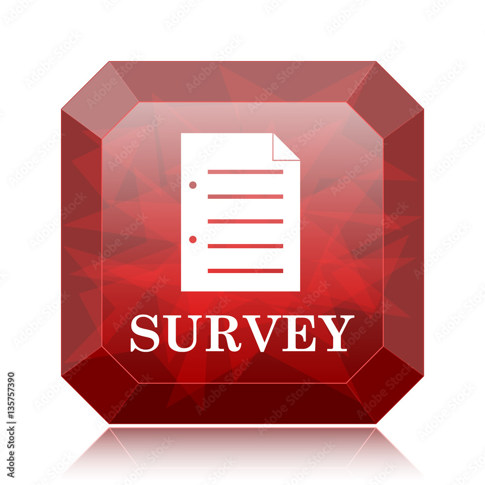 Survey icon Survey icon