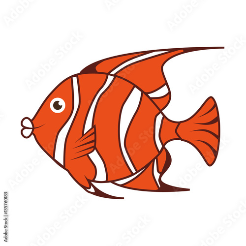 sea fish emblem icon vector illustration design
