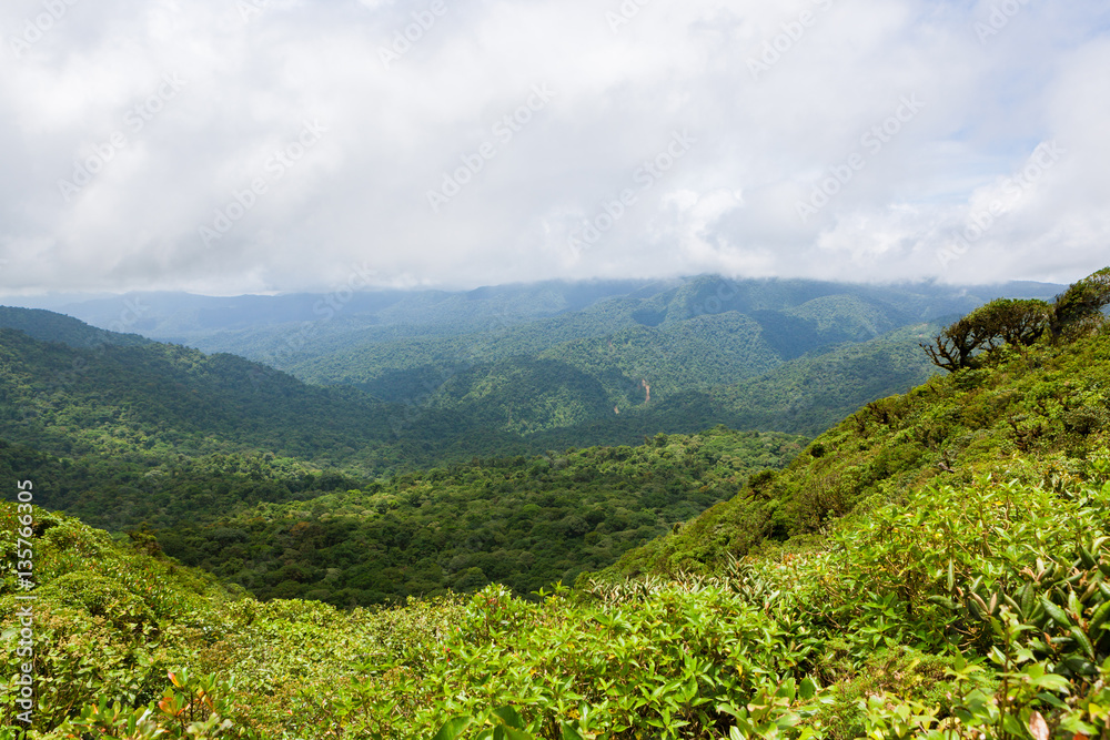 Fototapeta premium Rainforest landscape in Monteverde Costa Rica
