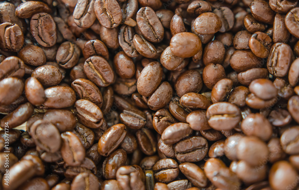Coffee bean Coffee bean