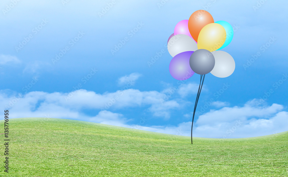 balloon and green grass background
