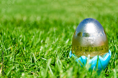 Golden Easter egg on the field background photo