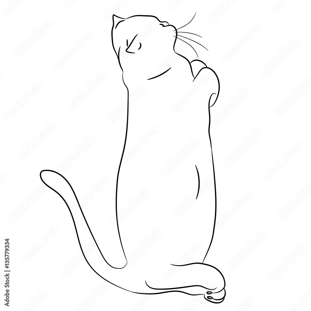 stretched out cat with folded legs of monochrome vector illustra stretched out cat with folded legs of monochrome vector illustra
