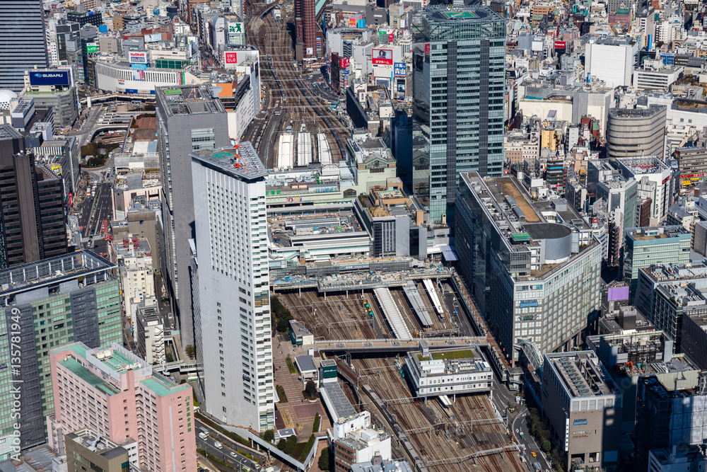 Fototapeta premium 発展する新宿