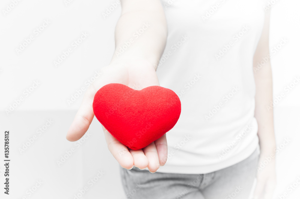Woman holding and protecting give a red heart shape on white background close-up,Symbol of love or dating Valentines day Woman holding and protecting give a red heart shape on white background close-up,Symbol of love or dating Valentines day