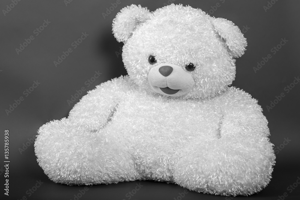Toy - a polar bear on a black background - black and white Toy - a polar bear on a black background - black and white