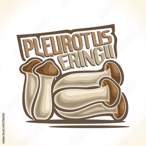 Vector logo Pleurotus Eryngii Mushrooms: heap greenhouse cultivation mushrooms, cartoon still life with lettering pleurotus eryngii, abstract label organic king oyster edible fungi with inscription.