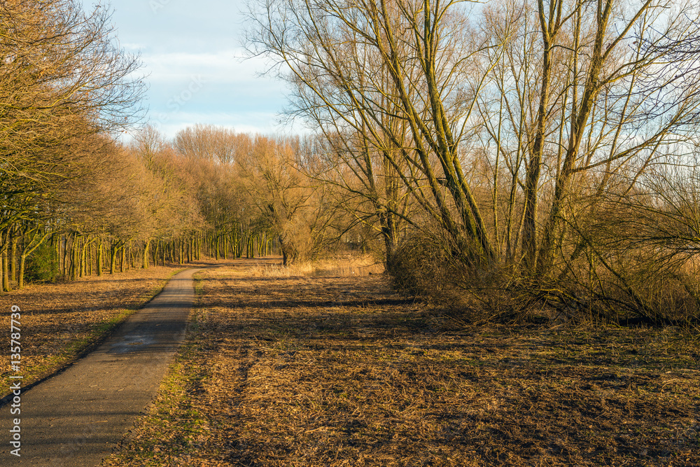 Fototapeta premium Small curved walkway in a park in autumnal colors
