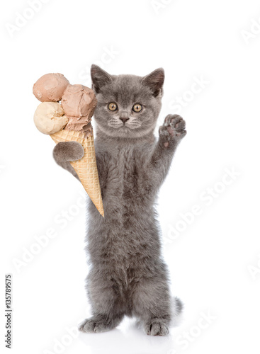 Cat with ice cream standing on hind legs. isolated on white 