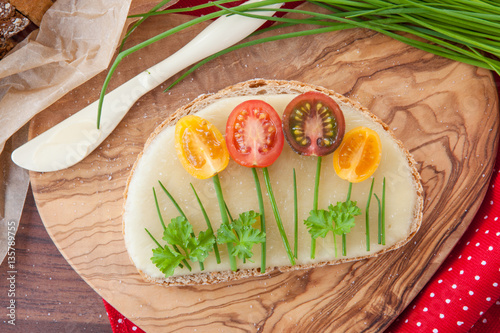 Kaesebrot mit frischen Tomaten photo