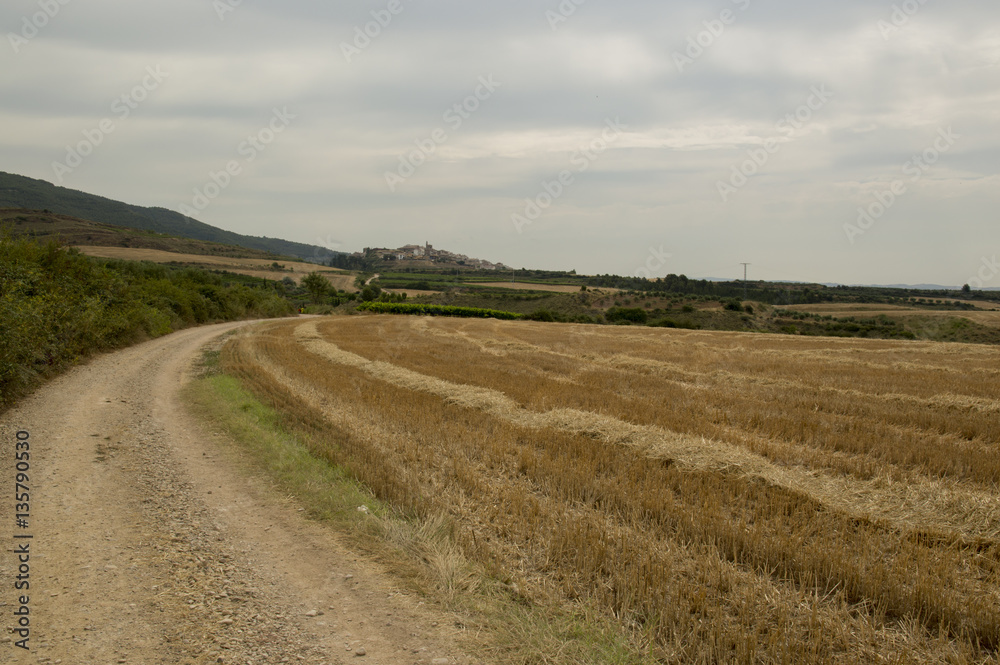 Camino de Santiago from Puente la reina to Estella